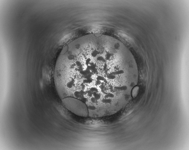 X0000087060503200705021219