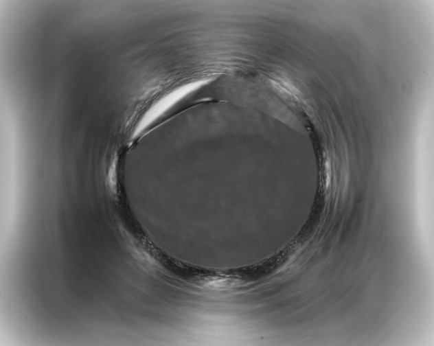 X0000087060504200705021219