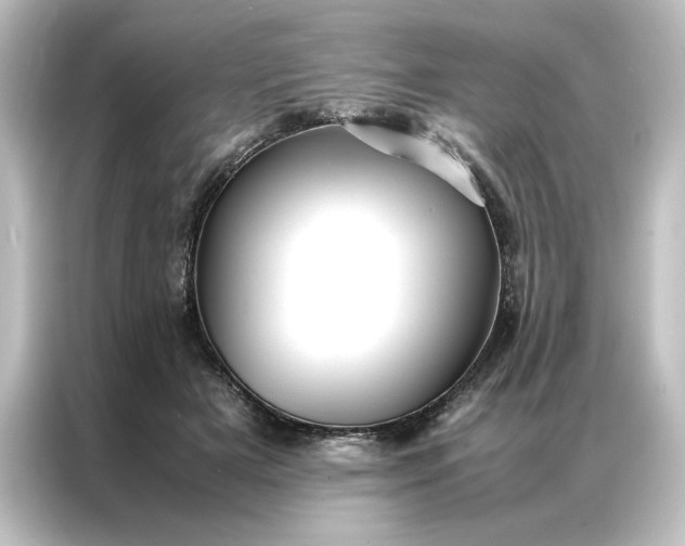 X0000087060505200705021219