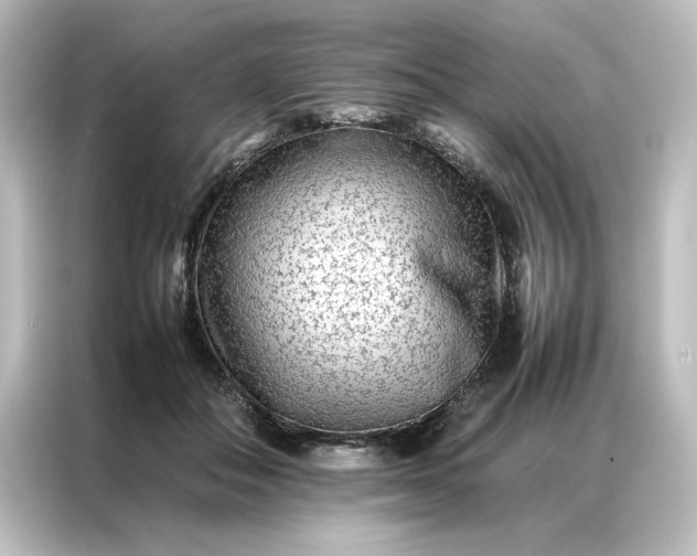 X0000087060506200705021219