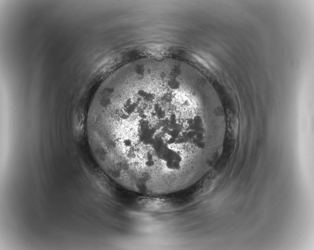 X0000087060507200705021219