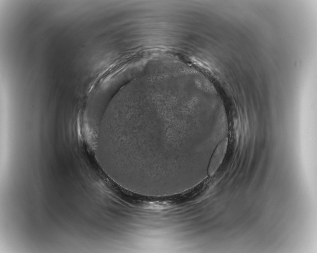 X0000087060508200705021219