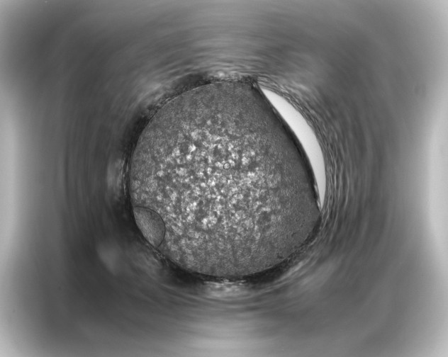 X0000087060511200705021219