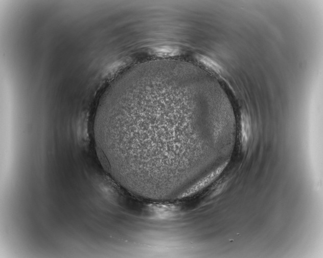 X0000087060512200705021219