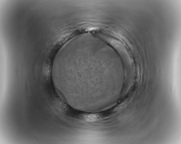 X0000087060513200705021219