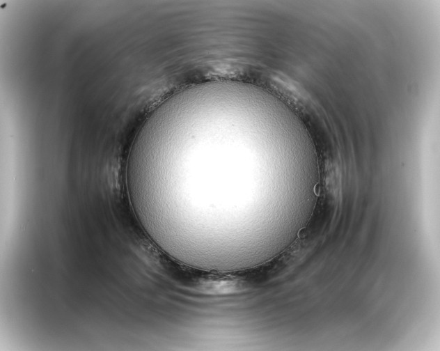 X0000087060514200705021219