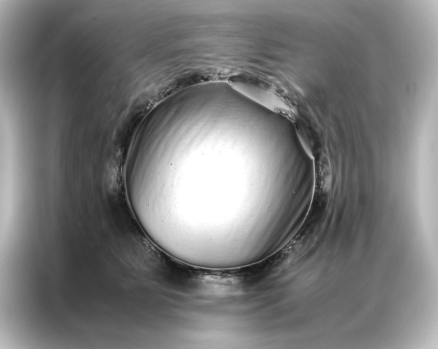 X0000087060515200705021219