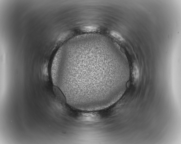 X0000087060516200705021219