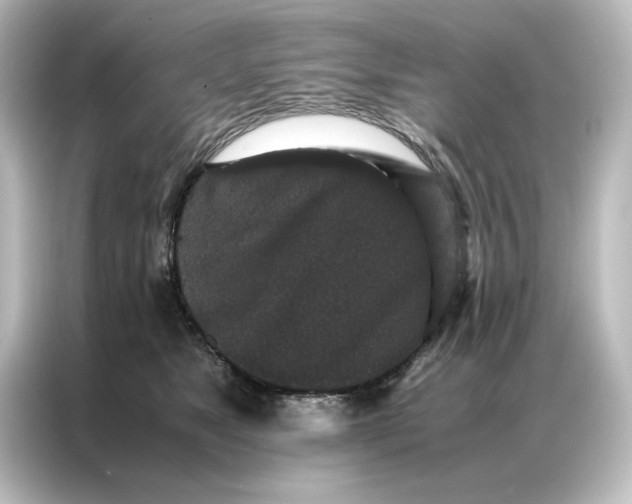 X0000087060517200705021219