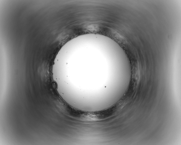 X0000087060518200705021219