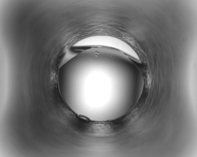 X0000087060521200705021219