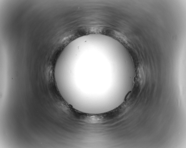 X0000087060522200705021219