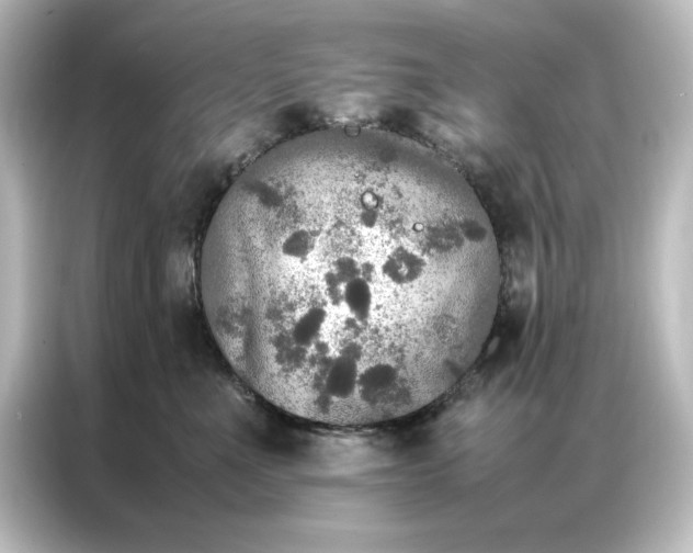 X0000087060523200705021219