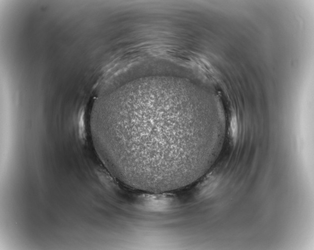 X0000087060524200705021219