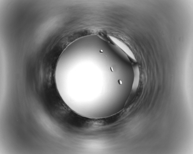 X0000087060525200705021219