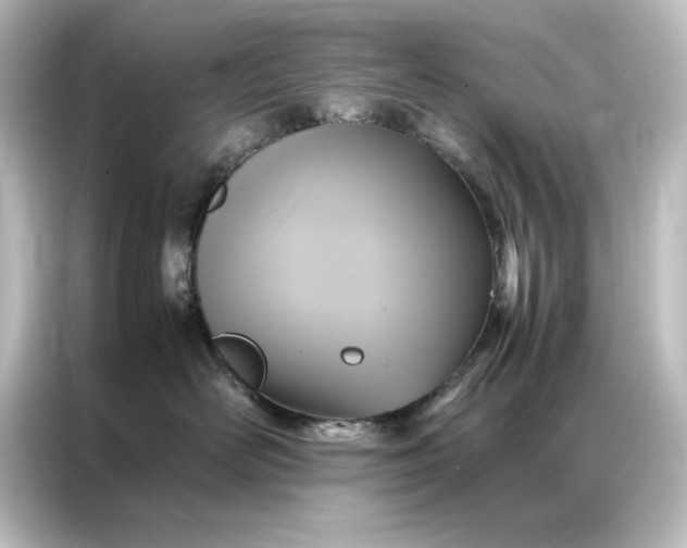 X0000087060526200705021219