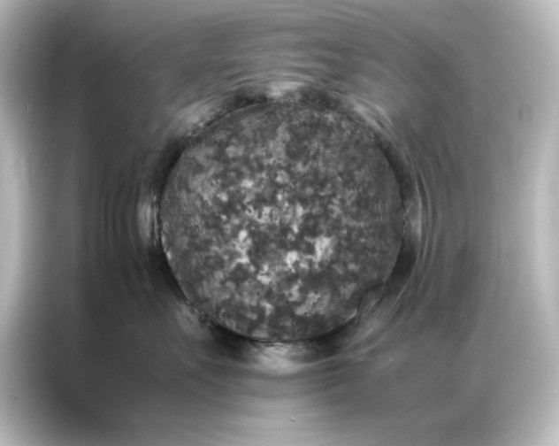 X0000087060527200705021219