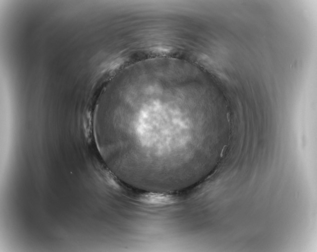 X0000087060528200705021219