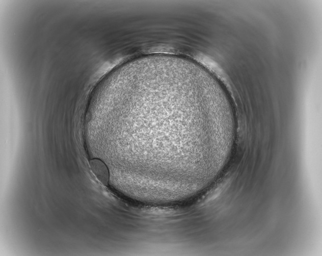 X0000087060529200705021218