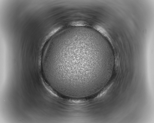 X0000087060533200705021218