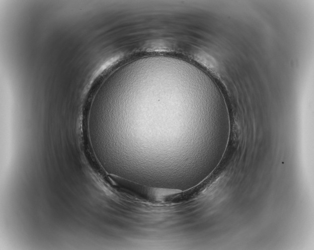 X0000087060535200705021218