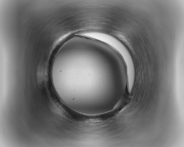 X0000087060536200705021218