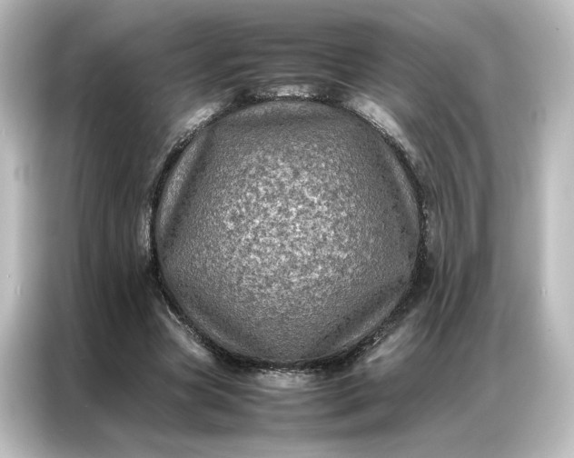 X0000087060537200705021218