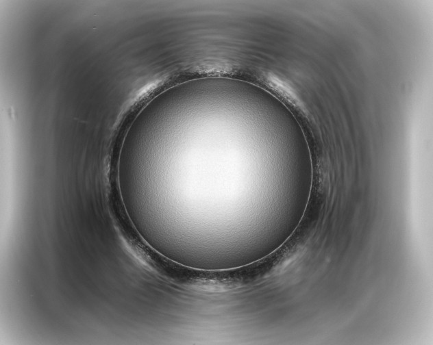 X0000087060538200705021218