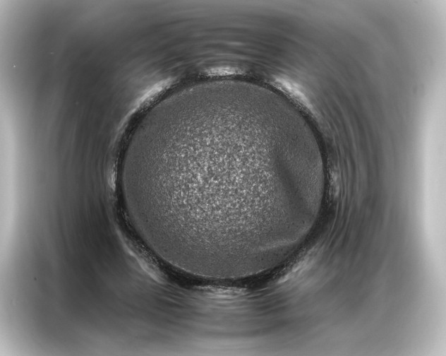 X0000087060539200705021218