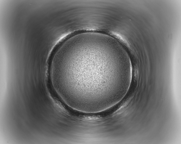 X0000087060540200705021218