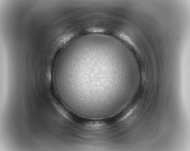 X0000087060541200705021218