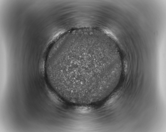 X0000087060542200705021218