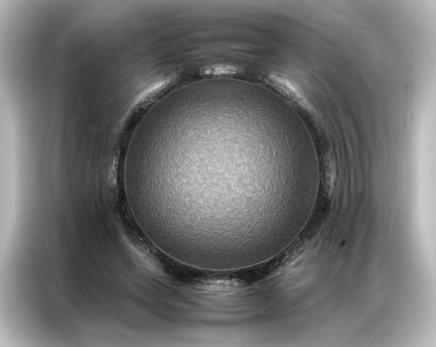 X0000087060543200705021218