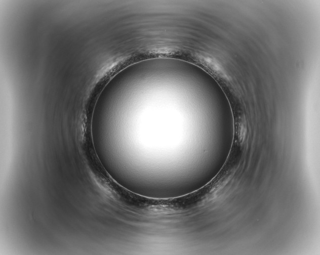 X0000087060544200705021218