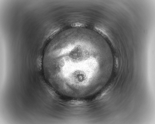 X0000087060545200705021219