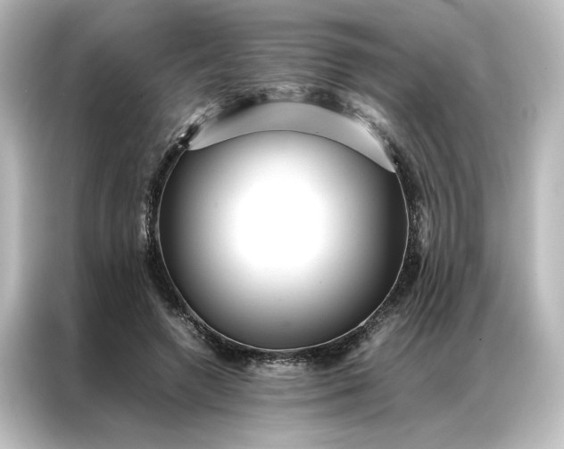 X0000087060546200705021219