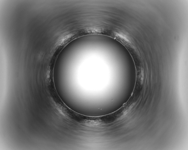 X0000087060548200705021219