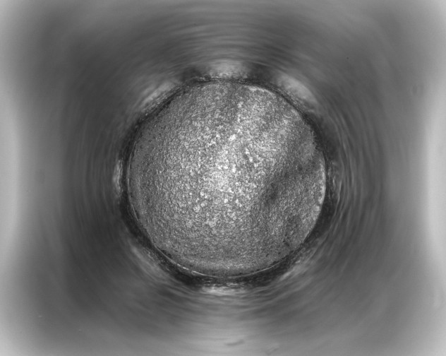 X0000087060550200705021219