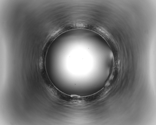 X0000087060552200705021219