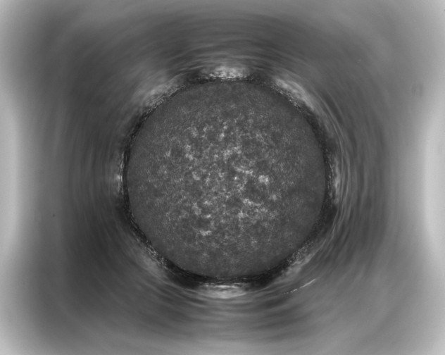 X0000087060553200705021219