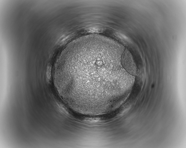 X0000087060554200705021219