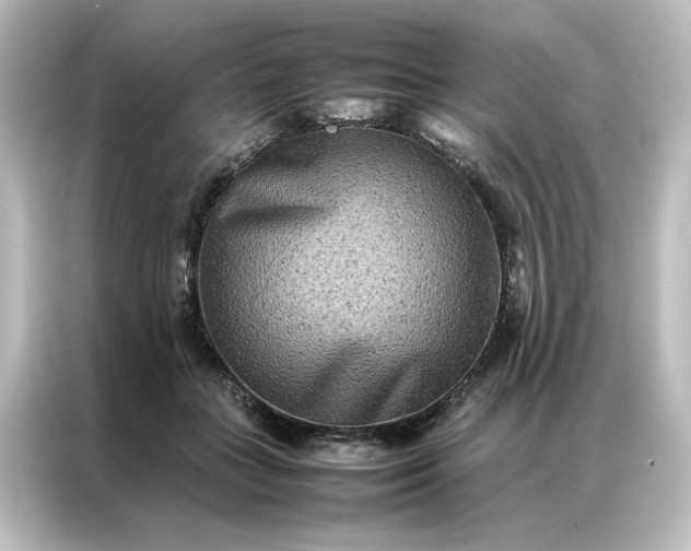 X0000087060555200705021219