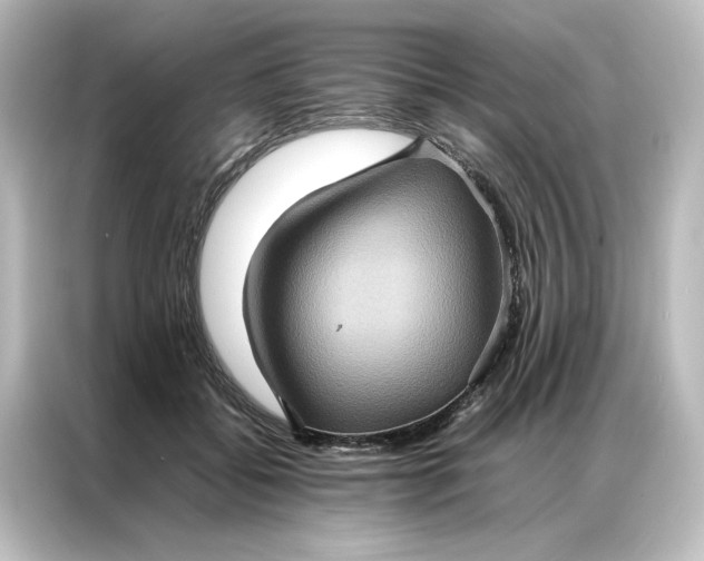 X0000087060556200705021219