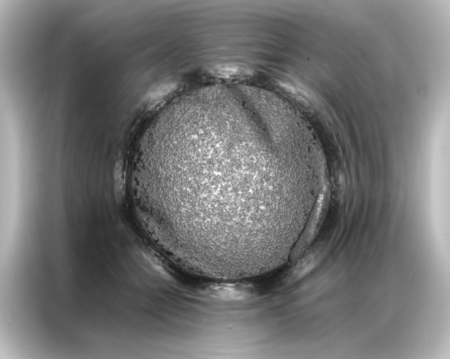 X0000087060558200705021219