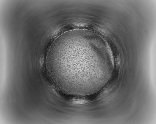 X0000087060559200705021219