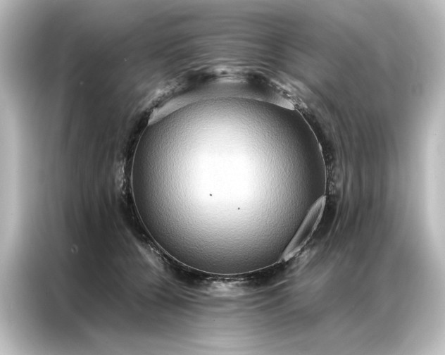 X0000087060560200705021219