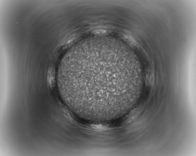 X0000087060561200705021219