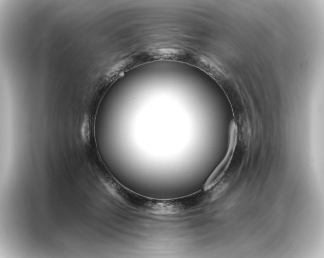 X0000087060562200705021219