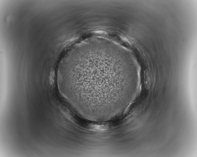 X0000087060563200705021219