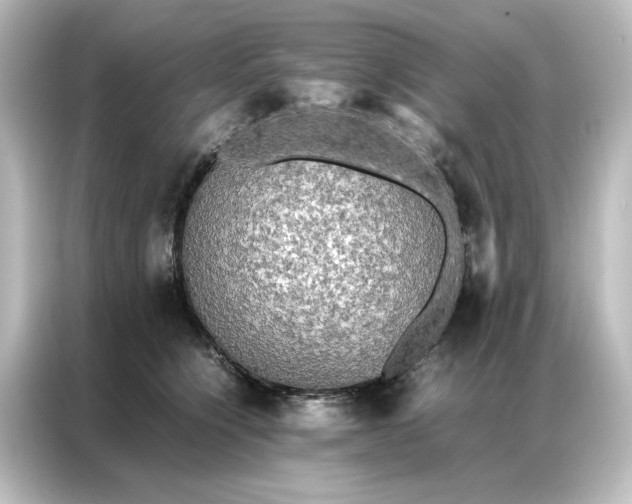 X0000087060564200705021219